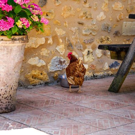 Villa Le Nid De Faucons Lalinde Esterno foto
