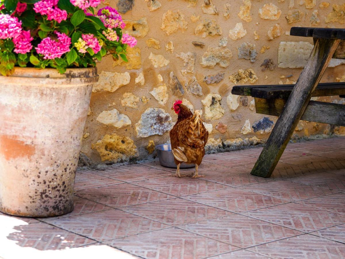 Villa Le Nid De Faucons Lalinde Esterno foto